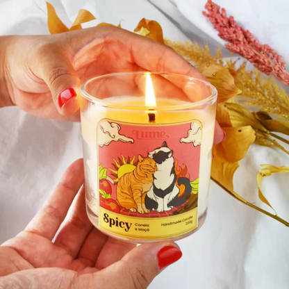 Kit Spicy - Vela e Difusor