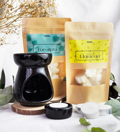 Kit Completo Aromatizador + Wax Melt Eucalipto e Mousse de Maracujá