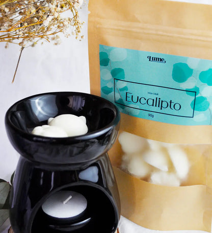 Kit Completo Aromatizador + Wax Melt Eucalipto e Mousse de Maracujá