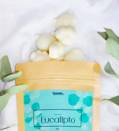 Kit Completo Aromatizador + Wax Melt Eucalipto e Mousse de Maracujá