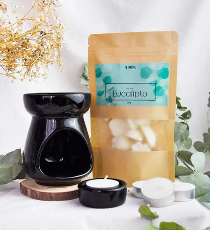 Kit Completo Aromatizador + Wax Melt Eucalipto e Mousse de Maracujá